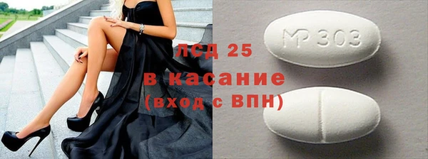 шишки Надым