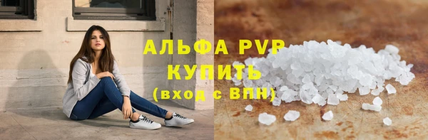 шишки Надым