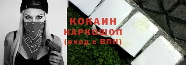 шишки Надым