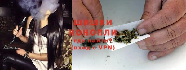 шишки Надым