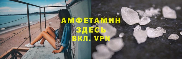 шишки Надым