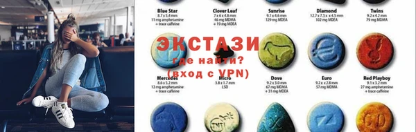шишки Надым