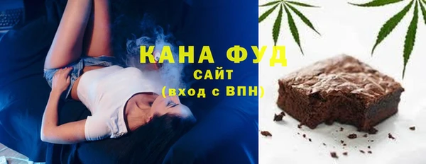 шишки Надым