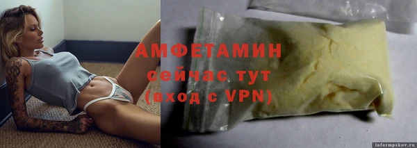 шишки Надым