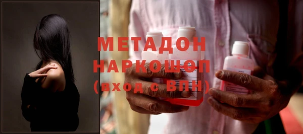 шишки Надым