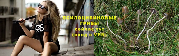 ECSTASY Навашино