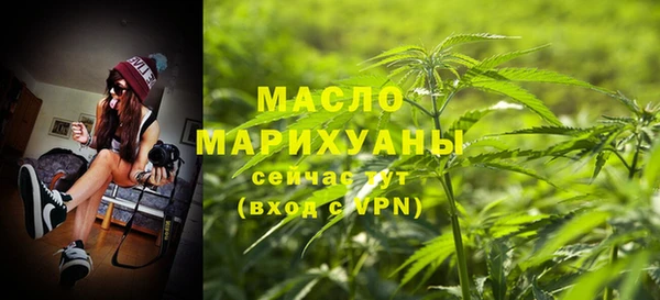 шишки Надым