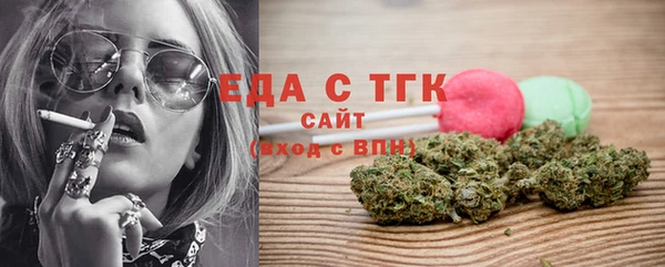 шишки Надым