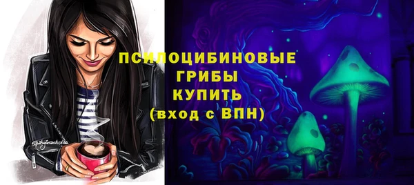шишки Надым