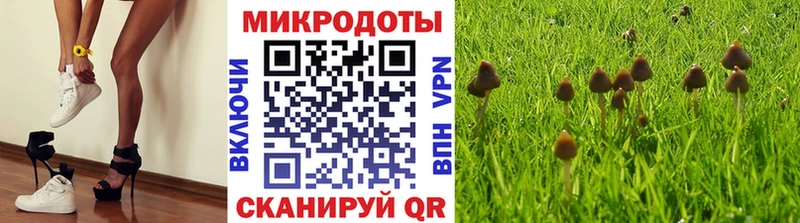 Галлюциногенные грибы Magic Shrooms  наркотики  Новочебоксарск 