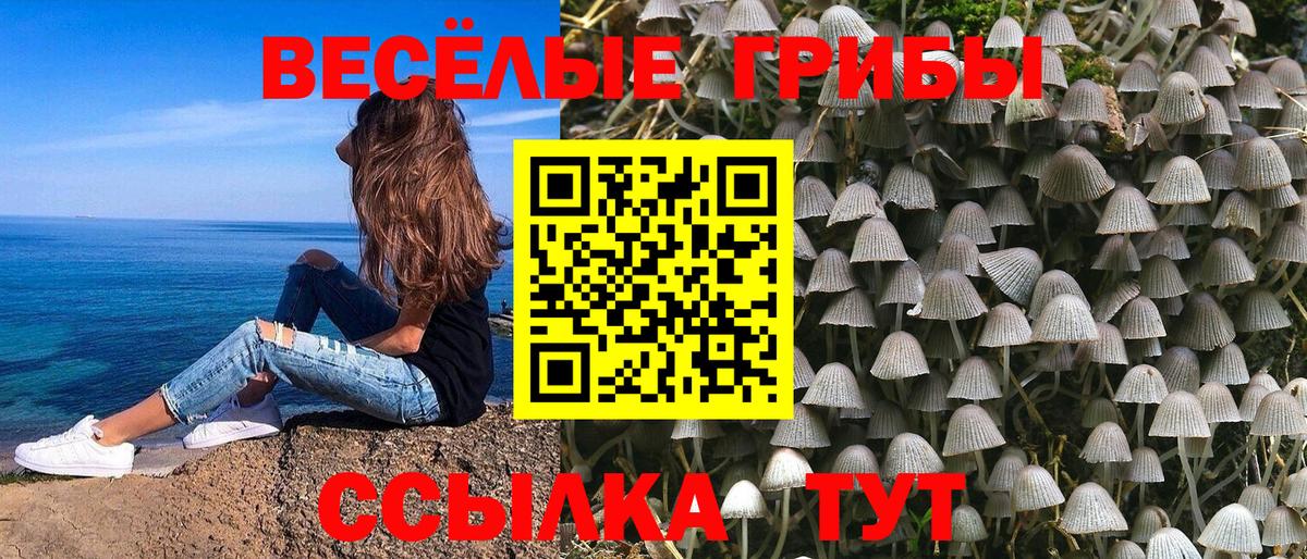 Новочебоксарск  Галлюциногенные грибы Magic Shrooms  Вход с VPN 